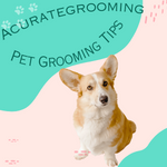 Acurategrooming