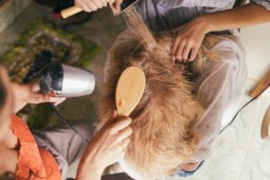 Dog Grooming Tips At Home